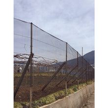 Load image into Gallery viewer, Landscape-fitting-color Net 4mm mesh 2m x 50m Darkbrown  403658  DIO
