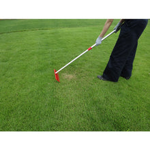 Load image into Gallery viewer, Lawn edge rake  4036  GS
