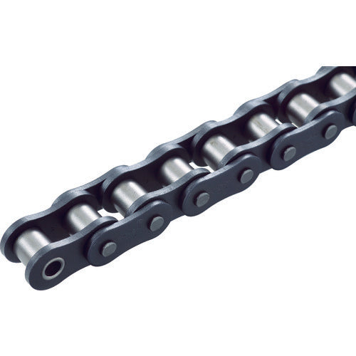 Self-Lubricating Roller Chain  40FS-TS  SENQCIA