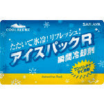 Ice Pack  42433  SARAYA