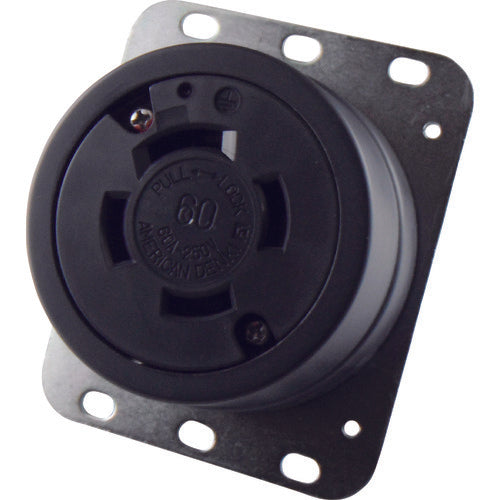 Wall Plate for Straight Blade Receptacle  4620  AMERICAN DENKI