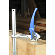 Load image into Gallery viewer, All Steel Lever Clamp  49025  BONDHUS
