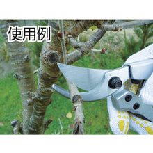 Load image into Gallery viewer, Aluminum die casting pruning DX of scissors  502099  DAISHIN
