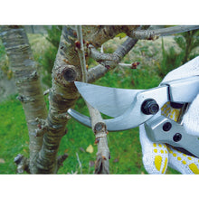 Load image into Gallery viewer, Aluminum die casting pruning DX of scissors  502099  DAISHIN
