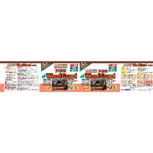 Load image into Gallery viewer, Oil-based Exterior Wood Guard Paint  530370  ASAHIPEN
