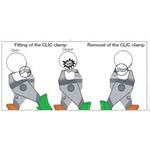 Load image into Gallery viewer, Fastening Tool  540000205  CAILLAU
