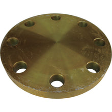 Load image into Gallery viewer, Carbon Steel 5K Blind Flat Face Flange  5BL-F-100A  Ishiguro
