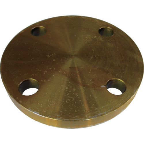 Carbon Steel 5K Blind Flat Face Flange  5BL-F-20A  Ishiguro