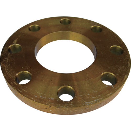 Carbon Steel 5K Slip on Flat Face Flange  5SOP-F100A  Ishiguro