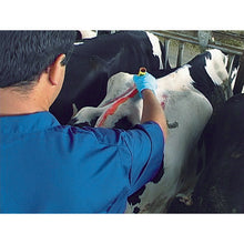 Load image into Gallery viewer, Livestock Marking All-Weather Paintstick  61024  LACO
