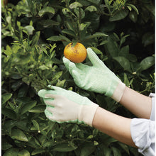 Load image into Gallery viewer, PVC Coated Gloves  672-2L  Binistar
