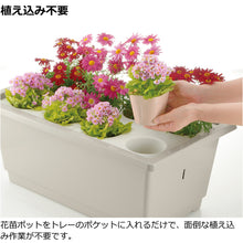 Load image into Gallery viewer, Pot In Planter  70206  RICHELL
