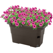 Load image into Gallery viewer, Planter  70311  RICHELL
