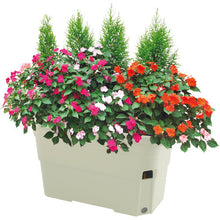 Load image into Gallery viewer, Planter  70314  RICHELL
