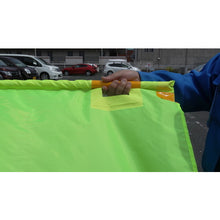 Load image into Gallery viewer, Big Flag  8015702  MIZUKEI
