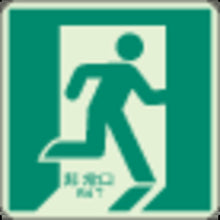 Load image into Gallery viewer, Emergency Exit Guidance Sign Passageway  829-13A  UNIT
