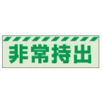 Emergency Sign  831-62  UNIT