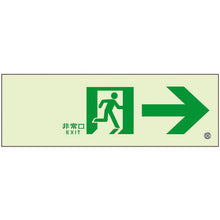 Load image into Gallery viewer, Emergency Exit Guidance Sign Passageway  836-041  UNIT
