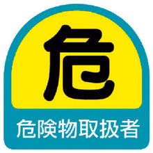 Load image into Gallery viewer, Sign Sticker &amp; Sticker for Hard Hat  851-40  UNIT
