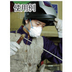 Load image into Gallery viewer, Disposable Dust Respirator  7010603030  3M
