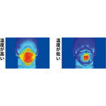 Load image into Gallery viewer, Disposable Dust Respirator  7010603030  3M
