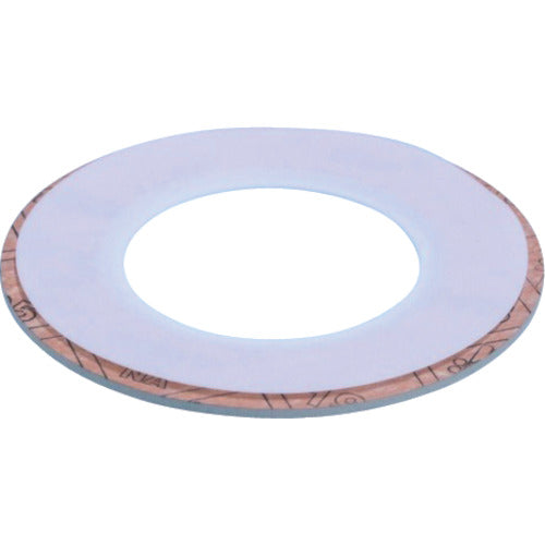 NAFLON PTFE Envelope Gasket  9010-A-5-S T2.8X10KX32A RF  NICHIASU