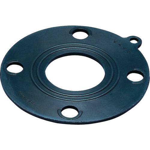 Ebilon Gasket  9013-EP-10KX100A  NICHIASU