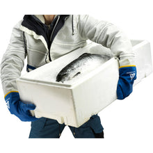 Load image into Gallery viewer, Cold Resistant and Waterproof Gloves ActivArmr 97-681  97-681-10  Ansell
