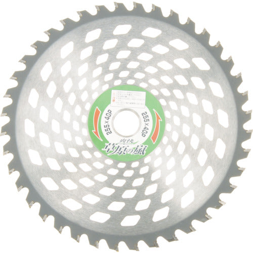 Tip Saw  99071  IWOOD