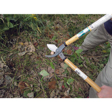 Load image into Gallery viewer, Grass Scissors  A-12  Kanenori
