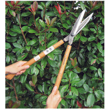 Load image into Gallery viewer, Grass Scissors  A-21  Kanenori
