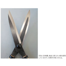 Load image into Gallery viewer, Grass Scissors  A-21  Kanenori
