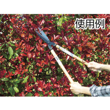 Load image into Gallery viewer, Grass Scissors  A-2  Kanenori
