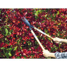 Load image into Gallery viewer, Grass Scissors  A-2  Kanenori
