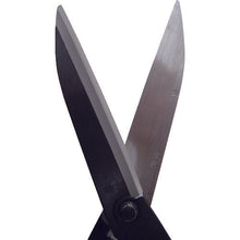 Load image into Gallery viewer, Grass Scissors  A-4  Kanenori
