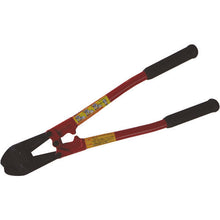 Load image into Gallery viewer, Angular Bolt Cutters  AC450  HIT
