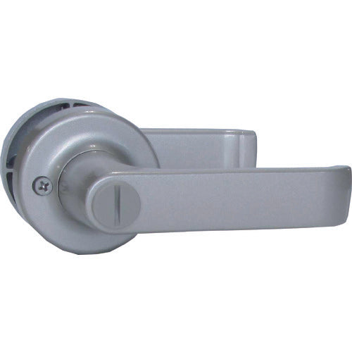 Lever Handle Replacement Tablets  AGLB100MA0  AGENT