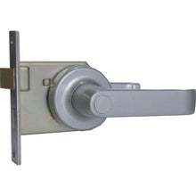 Load image into Gallery viewer, Lever Handle Replacement Tablets  AGLF640KU0  AGENT
