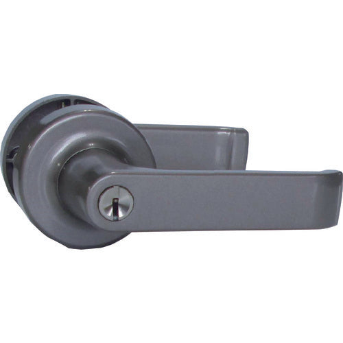 Lever Handle Replacement Tablets  AGLP100000  AGENT