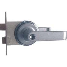 Load image into Gallery viewer, Lever Handle Replacement Tablets  AGLP640000  AGENT
