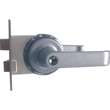 Load image into Gallery viewer, Lever Handle Replacement Tablets  AGLS640000  AGENT

