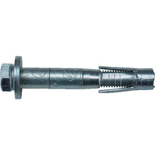 Load image into Gallery viewer, Torque Control Anchor Hijikata Bolt  AHB-1065-H  TAISEI KOUGYOU
