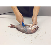 Load image into Gallery viewer, Electric Fish Scaler TASCALE AST-150  AST-150  ASAHI
