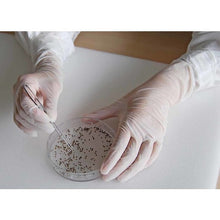 Load image into Gallery viewer, Nitrile Stat  B0120-XL  SHOWA
