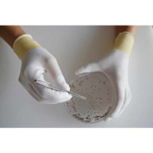 Load image into Gallery viewer, Top Fit Gloves  B0601-L  SHOWA
