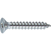 Load image into Gallery viewer, Stainless Steel Flat Head Tapping Screw  B10-0308  TRUSCO
