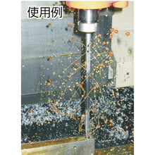 Load image into Gallery viewer, Gun Drills(for Deep Hole Drilling)  2532130400  botek
