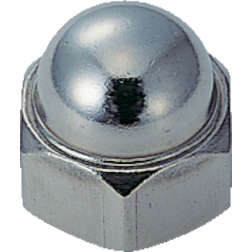 Stainless Steel Cap Nut  B40-0318  TRUSCO