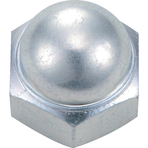 Cap Nuts Cormic  B739-0005  TRUSCO