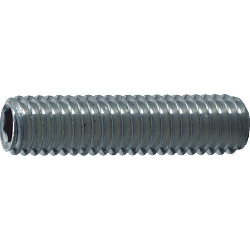 Stainless Steel Hexagon Socket Set Screw  B77-0310  TRUSCO